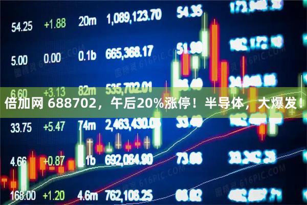 倍加网 688702，午后20%涨停！半导体，大爆发！