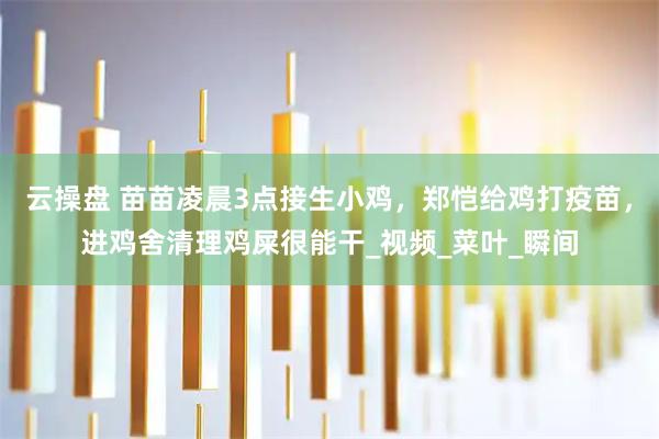 云操盘 苗苗凌晨3点接生小鸡，郑恺给鸡打疫苗，进鸡舍清理鸡屎很能干_视频_菜叶_瞬间