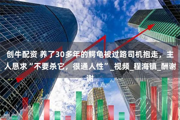 创牛配资 养了30多年的鳄龟被过路司机抱走，主人恳求“不要杀它，很通人性”_视频_程海镇_酬谢