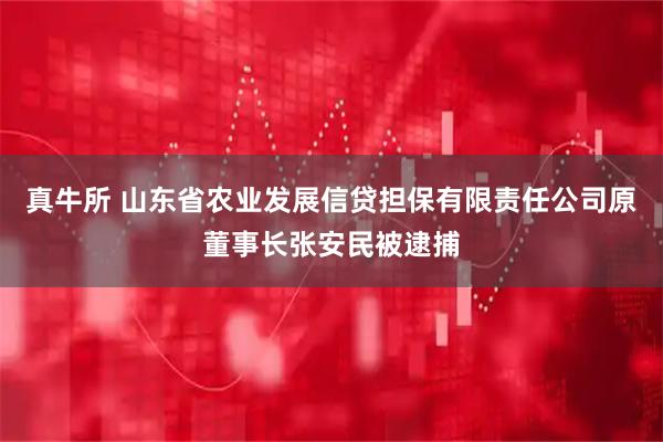 真牛所 山东省农业发展信贷担保有限责任公司原董事长张安民被逮捕