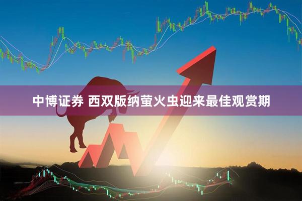 中博证券 西双版纳萤火虫迎来最佳观赏期